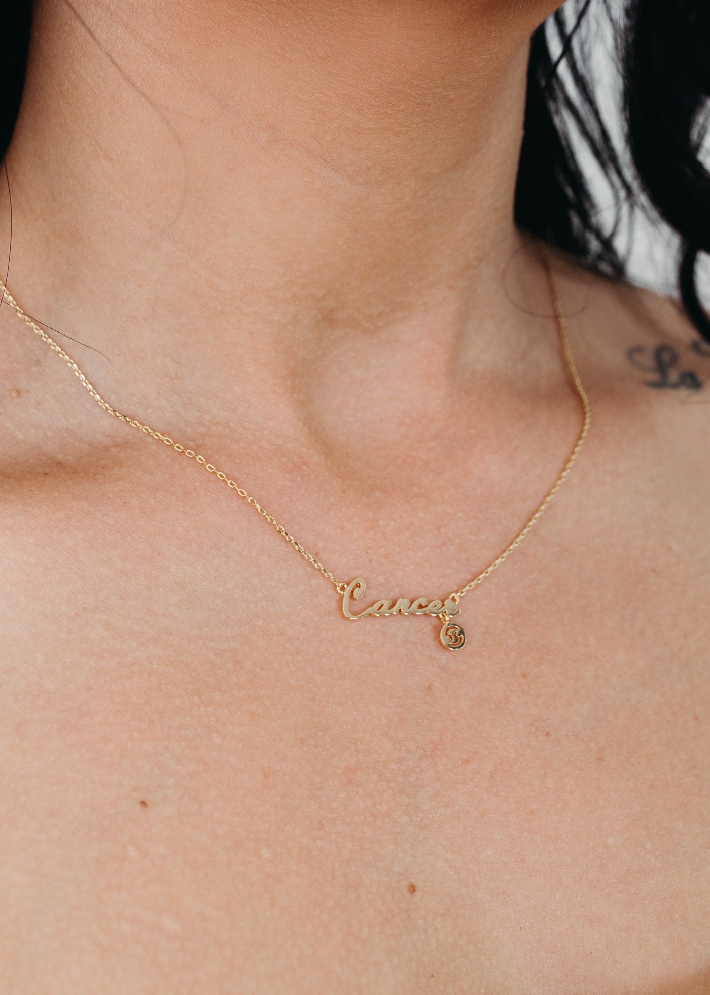 Made For Each Other - Horoscope Necklace